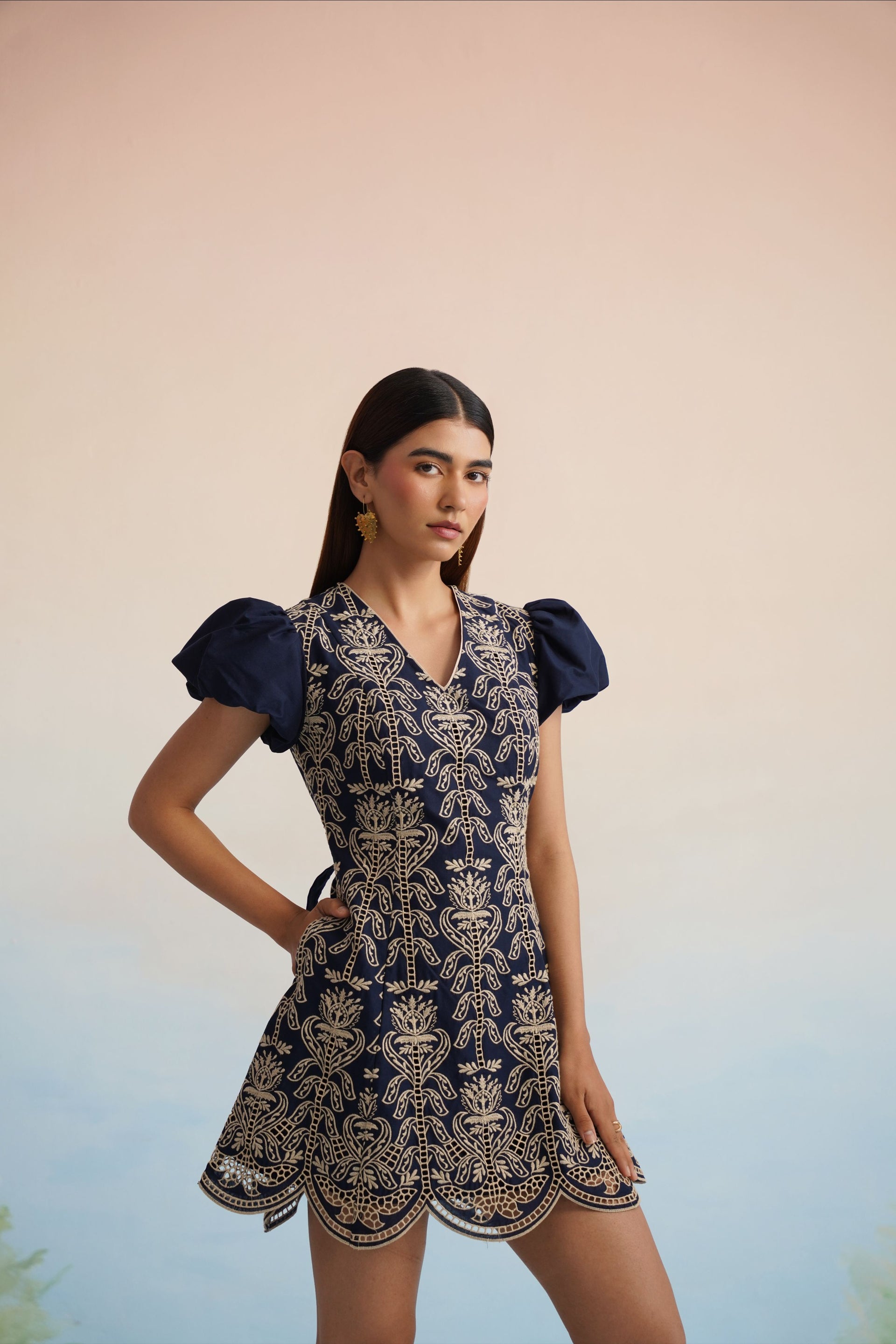 The Midnight Fleur Embroidered Mini Dress